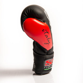 Guantoni boxe SAP Italy-Combat Arena