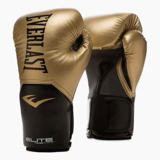 Guantoni Everlast Elite Pro Style-Combat Arena