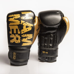 Guantoni boxe SAP Hammer-Combat Arena